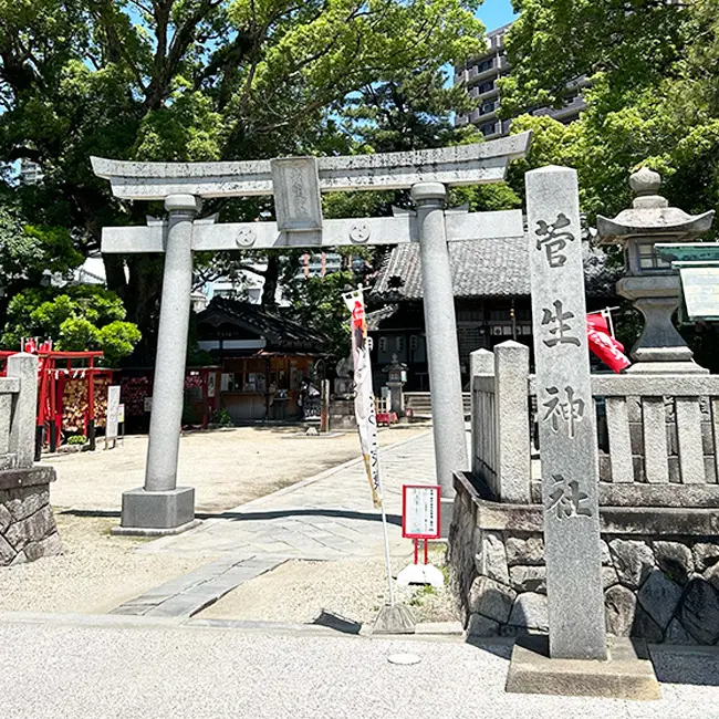 デコレーションペイント花火徳川家康公生誕の地「岡崎」は、日本の花火発祥地