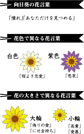 ペーパーアート向日葵不思議がいっぱいの「ひまわり」